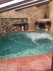 弗里希利亚纳Villa Jardin piscina climatizada的相册照片