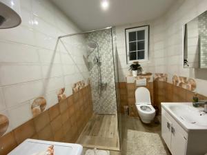 普里什蒂纳Convini Bed & Bathroom Homestay的带淋浴、卫生间和盥洗盆的浴室