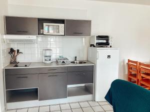 卡布勒通Les Pastourelles的一间带水槽和冰箱的小厨房
