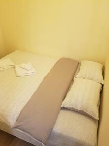 特尔古穆列什Apartament 1 Central的一张床上有两个枕头的房间