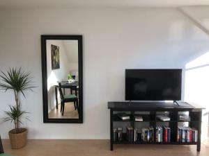 奥尔登堡Apartment in Uni- und Citynähe的一间带电视和镜子的客厅