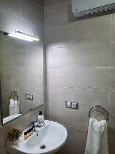普拉森西亚Apartamentos Clavero 10的一间带水槽和镜子的浴室