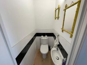 比亚里茨Villa Julie的一间带卫生间和水槽的小浴室