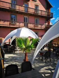 拉尔让蒂埃拉贝塞埃Icerock Hotel的一张桌子,上面有棕榈树,放在白色的伞下