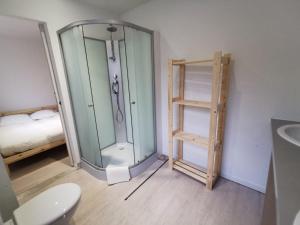 拉尔让蒂埃拉贝塞埃Icerock Hotel的带淋浴和卫生间的浴室以及1张床。