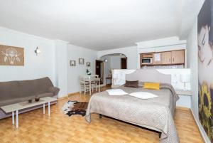 托雷维耶哈优尼科公寓式酒店的一间卧室和一间带床和沙发的客厅