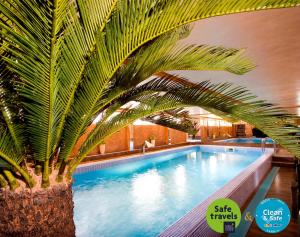 诺维萨德普利兹登特贝斯特韦斯特酒店的游泳池旁的棕榈树