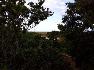 萨夸雷马F2xs Guest house的透过一些树木看到田野