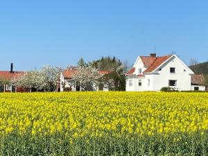 格兰纳Boende i uppgränna med panoramautsikt的一座房子前面的一片黄花