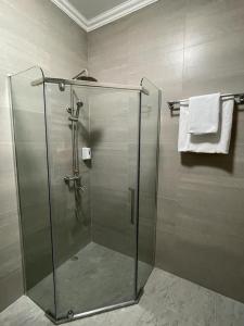 阿特劳SB River Hotels的浴室里设有玻璃门淋浴