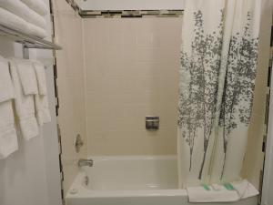 克兰布鲁克阿尔莫苑汽车旅馆的浴室配有浴缸和淋浴及浴帘