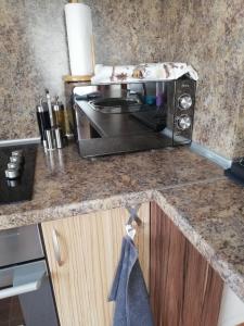特里格拉德Приключение в Триград的厨房的台面上有一个微波炉