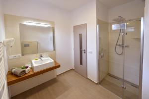 皮塞克Hotel U Kaplicky的一间带水槽和淋浴的浴室