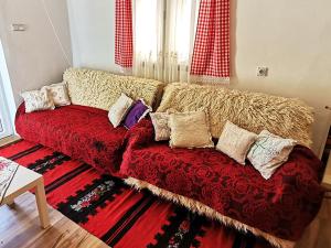 Rogljevo"Pivnica i smestaj Jovanovic"- Rogljevacke pivnice的客厅配有带枕头的沙发。