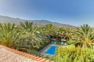 ArafoVilla Morera的享有度假村的空中景致,设有游泳池和棕榈树