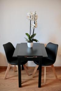 杜布罗夫尼克杜布罗夫尼克卡瓦公寓的一张带两把椅子的黑桌和一盆盆盆栽