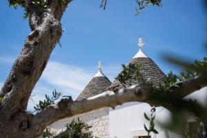 马丁纳弗兰卡Mandolario Trulli Resort的教堂前方有树