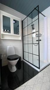 BudhirMarbakki Luxury Ocean Retreat的一间带卫生间和玻璃淋浴间的浴室