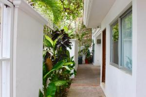 布塞里亚斯Hotel y Suites Corita的绿树成荫的房屋走廊