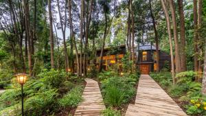 普孔Rakau Lodge的树林中的房屋,有一条通往房屋的木路