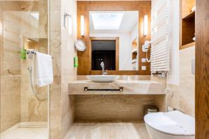 沃尔贾利Natura Mazur Resort & Conference的一间带水槽、卫生间和镜子的浴室