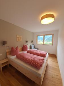 弗林肯贝格Appartment Sonnenwiese的一间卧室配有一张带红色枕头的床和一扇窗户
