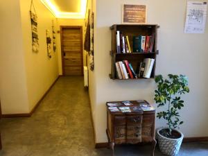 潘吉普伊Hotel 381 Panguipulli的走廊上设有书架和植物桌子