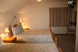 克莱尔莫里斯Valley Lodge Room Only Guest House的酒店客房设有两张床和窗户。