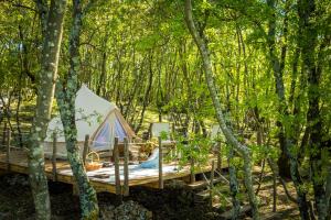 Foli罗宾逊自由豪华帐篷的树林木甲板上的帐篷