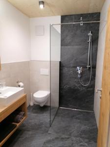 海因岑贝格Montepart Zillertal的带淋浴、卫生间和盥洗盆的浴室