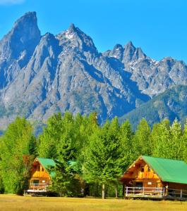 史密瑟斯Rocky Ridge Resort-BC的享有2间树木和山脉的小木屋的山景