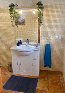 克雷维连特B&B Casa Azul的一间带水槽和镜子的浴室