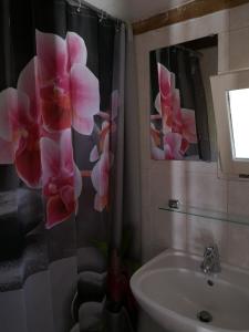 OmessaCampita的浴室设有水槽和装饰有粉红色花卉的浴帘。
