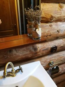 克尔茨什瓦拉乡Cabana Rustic Balea的浴室设有水槽、镜子和水槽四柱床