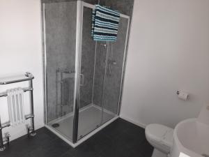 纽基特里盖拉宾馆的设有带卫生间的浴室内的淋浴间