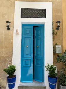 瓦莱塔Maltese town house的两棵盆栽植物的房子上的一扇蓝色门