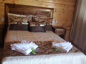 乌鲁比西Cabana Frio da Serra的一间卧室配有一张床,上面有两条毛巾