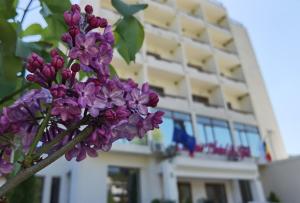 萨拉他蒙蒂鲁Hotel Spa Cazino Monteoru的一座建筑前的一大束紫色花