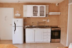 厄尔查尔坦阿吉拉莫拉公寓的厨房配有白色橱柜和白色冰箱。