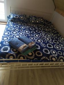 科帕利诺Niezapominajka Kopalino的一张带蓝色和白色棉被的床