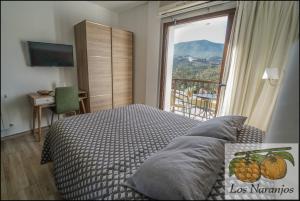 MelegisHostal y Apartamento Rural Los Naranjos的一间卧室设有一张床和一个美景窗户。