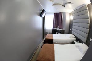 布鲁塞尔凤凰酒店的酒店客房设有两张床和电视。