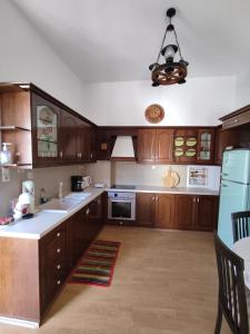 卡米拉日Anemi的一个带木制橱柜和吊灯的大厨房
