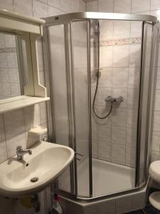 福尔施陶Appartement Sonnberg的带淋浴和盥洗盆的浴室