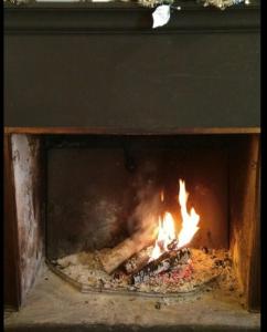 CasaleAlbergo Ristorante Monte Piella的砖炉火,炉火中燃烧着火焰