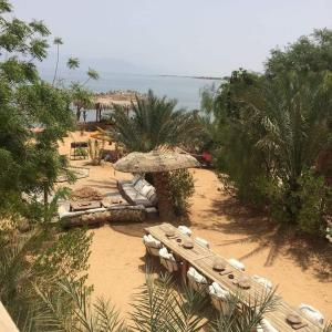 努韦巴Nakhil Inn Nuweiba的享有带椅子和遮阳伞的海滩美景