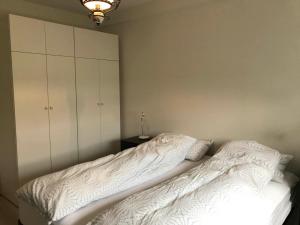 雷克雅未克Reykjavik Hill Cosy Apartment的一间卧室配有一张带白色床单的床和橱柜。