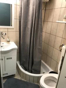 斯雷姆斯基卡尔洛夫奇Apartman studio Pavle i Petra的带淋浴、卫生间和盥洗盆的浴室