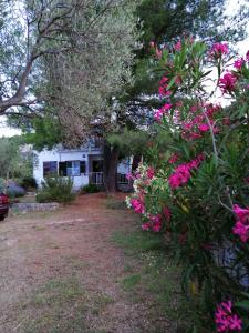 拉斯琳娜Raslina Sun Apartment的院子里有粉红色花的房子