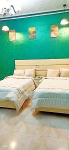 开罗My place agata Hostel的绿墙客房的两张床